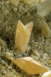 Schweiz/Appenzell Innerrhoden, Kanton/Schwende-Rüte, Bezirk/Fänerenspitz/Schart