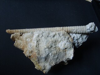 Tschechien/Středočeský kraj (Mittelböhmen)/Beroun, Okres (Beraun)/Vinařice/Lom Homolák, Steinbruch