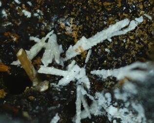 Deutschland/Niedersachsen/Goslar, Landkreis/Langelsheim/Astfeld/Juliushütte