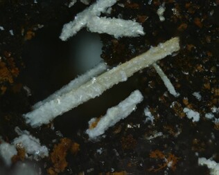 Deutschland/Niedersachsen/Goslar, Landkreis/Langelsheim/Astfeld/Juliushütte