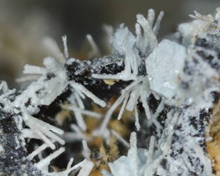 Deutschland/Niedersachsen/Goslar, Landkreis/Langelsheim/Astfeld/Juliushütte