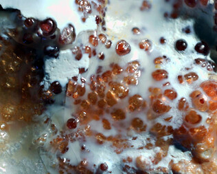 Ungarn/Borsod-Abaúj-Zemplén, Komitat/Szerencs, Kreis/Monok/Hosszú Hegy