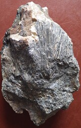 Deutschland/Sachsen-Anhalt/Harz, Landkreis/Thale, Stadtgemeinde