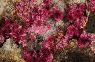Marokko/Drâa-Tafilalet, Region/Bou Azzer, Bergbaurevier