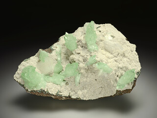 Indien/Maharashtra/Pune (Poona), Distrikt