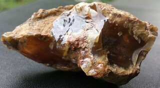 Österreich/Niederösterreich/Sankt Pölten, Bezirk/Karlstetten/Felder in der Ortsumgebung