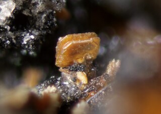 Deutschland/Bayern/Oberpfalz, Bezirk/Neustadt an der Waldnaab, Landkreis/Waidhaus, Gemeinde/Hagendorf, Ortsteil/Hagendorf-Süd (Grube Cornelia)