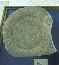 Deutschland/Nordrhein-Westfalen/Arnsberg, Bezirk/Soest, Landkreis/Geseke, Stadt