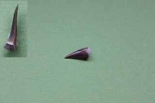 Deutschland/Bayern/Oberfranken, Bezirk/Bamberg, Landkreis/Scheßlitz, Stadt/Ludwag, Ortsteil/Steinbrüche Ludwag