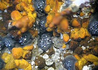 USA/Arizona/Gila County/Dripping Spring Mts/Banner District/Hayden Area/Hayden/Seventy-Nine Mine (79 Mine)