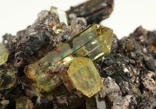 Mexiko/Durango, Estado/Durango, Municipio/Cerro de Mercado