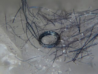 Deutschland/Bayern/Oberfranken, Bezirk/Bayreuth, Landkreis/Goldkronach, Stadt/Brandholz, Ortsteil/Ludwig Wittmann-Schacht