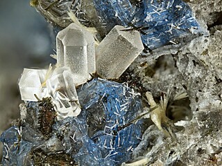 Deutschland/Rheinland-Pfalz/Mayen-Koblenz-Kreis/Mendig, Verbandsgemeinde/In den Dellen (Grube Zieglowski)