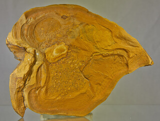 Deutschland/Bayern/Mittelfranken, Bezirk/Weißenburg-Gunzenhausen, Landkreis