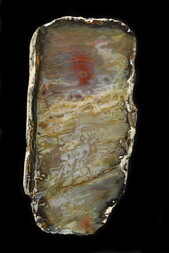 Deutschland/Nordrhein-Westfalen/Köln, Bezirk/Rhein-Sieg-Kreis/Alfter/Witterschlick/Kiesgrube Witterschlick