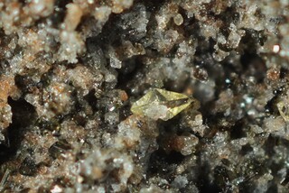 Deutschland/Rheinland-Pfalz/Mayen-Koblenz-Kreis/Vordereifel, Verbandsgemeinde/Ettringen/Bellerberg/Ettringer Bellerberg (Stbr. Caspar)