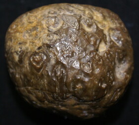 Deutschland/Sachsen/Bautzen, Landkreis/Lauta/Felder an der Landstraße 58 und Kieswerk Lauta