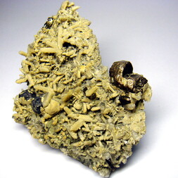 Deutschland/Sachsen/Mittelsachsen, Landkreis/Freiberg, Revier/Freiberg/Grube Himmelfahrt