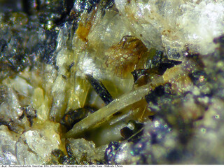 Deutschland/Rheinland-Pfalz/Vulkaneifel, Landkreis/Gerolstein, Verbandsgemeinde/Hohenfels-Essingen/Feuerberg