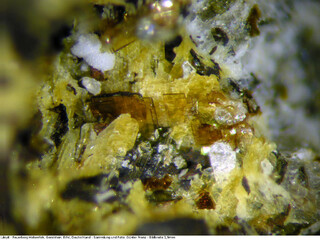 Deutschland/Rheinland-Pfalz/Vulkaneifel, Landkreis/Gerolstein, Verbandsgemeinde/Hohenfels-Essingen/Feuerberg