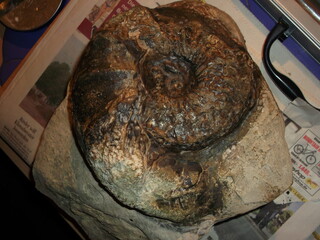 Deutschland/Niedersachsen/Hameln-Pyrmont, Landkreis/Hameln