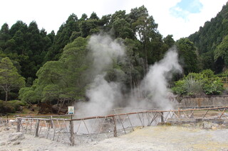 Portugal/Azoren (Ilhas dos Açores), Autonome Region/Sao Miguel, Insel/Povoação, Kreis/Furnas-See (Lagao das Furnas)