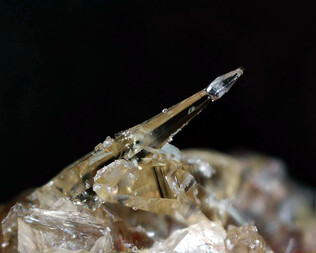 Deutschland/Rheinland-Pfalz/Donnersbergkreis/Kirchheimbolanden, Verbandsgemeinde/Bolanden, Gemeinde/Giro am Mannbühl