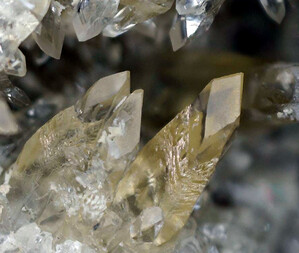 Deutschland/Rheinland-Pfalz/Donnersbergkreis/Kirchheimbolanden, Verbandsgemeinde/Bolanden, Gemeinde/Giro am Mannbühl