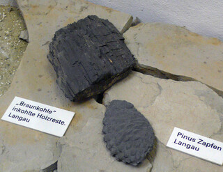 Österreich/Niederösterreich/Horn, Bezirk/Langau/ehemaliger Braunkohleabbau