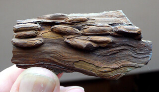 Österreich/Niederösterreich/Hollabrunn, Bezirk