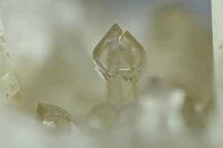 USA/New Jersey/Hudson County/Secaucus/Laurel Hill