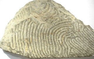 Italien/Piemont (Piemonte), Region/Alessandria, Provinz/Cabella Ligure, Gemeinde/Aufschluss an der SP140 zwischen Cabella und Albera