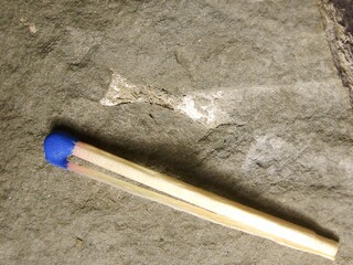 Deutschland/Sachsen/Dresden/Cotta