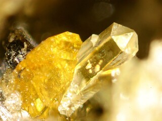 Deutschland/Rheinland-Pfalz/Mayen-Koblenz-Kreis/Mendig, Verbandsgemeinde/In den Dellen (Grube Zieglowski)