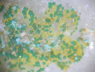 Deutschland/Baden-Württemberg/Freiburg, Bezirk/Ortenaukreis/Oberwolfach/Grube Clara