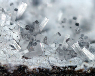 USA/Arizona/Pima County/Little Ajo Mts/Ajo District/Phelps Dodge Corporation Well No. 1