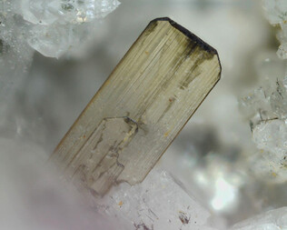 Österreich/Salzburg/Zell am See, Bezirk (Pinzgau)/Rauris, Marktgemeinde/Bucheben, Katastralgemeinde/Hüttwinkltal/Lohninger Bruch