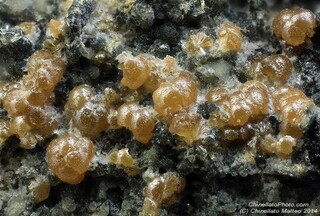 Italien/Piemont (Piemonte), Region/Verbano-Cusio-Ossola, Provinz/Baceno/Alpe Devero (Valle Devero)/Monte Cervandone