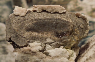 Deutschland/Thüringen/Nordhausen, Landkreis/Nordhausen/Salza/Steinbruch am Kohnstein