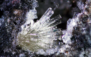 Deutschland/Rheinland-Pfalz/Mayen-Koblenz-Kreis/Maifeld, Verbandsgemeinde/Ochtendung/Wannenköpfe