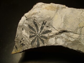 Deutschland/Sachsen/Sächsische Schweiz-Osterzgebirge, Landkreis/Freital/Königin Carolaschacht