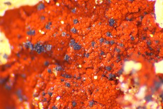 Deutschland/Bayern/Oberpfalz, Bezirk/Tirschenreuth, Landkreis/Krummennaab/Thumsenreuth/Dürrer Schlag