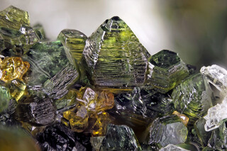 Italien/Trentino-Südtirol (Trentino-Alto Adige)/Südtirol (Bozen), Provinz/Wipptal, Bezirk/Pfitsch (Pfitschtal)/Burgumer Alm