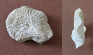 Deutschland/Bayern/Oberfranken, Bezirk/Bamberg, Landkreis/Scheßlitz, Stadt/Ludwag, Ortsteil/Steinbrüche Ludwag