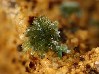 Australien/South Australia/Flinders Ranges/North Flinders Ranges/Leigh Creek/Beltana/Wheal Friendship Mine