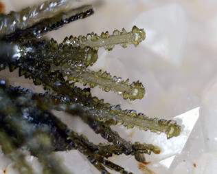 Deutschland/Baden-Württemberg/Freiburg, Bezirk/Ortenaukreis/Oberwolfach/Grube Clara