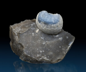 Deutschland/Schleswig-Holstein/Ostholstein, Landkreis/Oldenburg/Weißenhaus