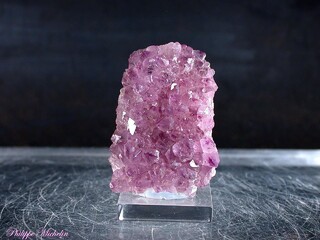 Frankreich/Bretagne, Région/Côtes-d'Armor, Département