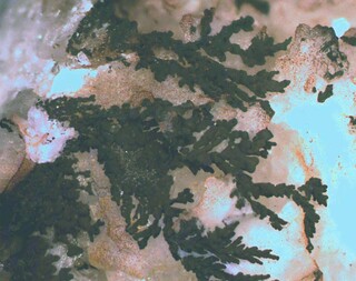 Deutschland/Baden-Württemberg/Freiburg, Bezirk/Ortenaukreis/Oberwolfach/Grube Clara