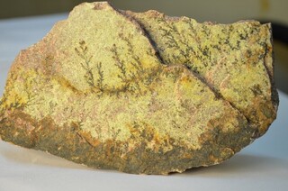 Deutschland/Sachsen/Mittelsachsen, Landkreis/Freiberg, Revier/Bobritzsch-Hilbersdorf, Gemeinde/Naundorf, Ortsteil/Steinbruch Buchberg